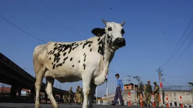 ઉષા રાડા અને નેહાકુમારી વચ્ચે વિવાદ