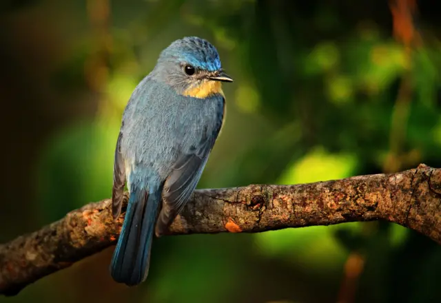 వరల్డ్ ఫొటోగ్రఫీ డే 