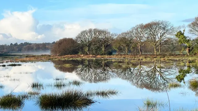 Wareham, Dorset, con árboles reflejándose en el agua y una niebla baja en un día soleado y brillante.