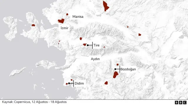 yangın haritası