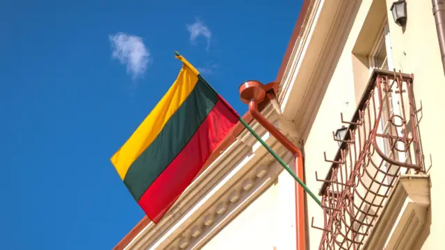 Литовский флаг