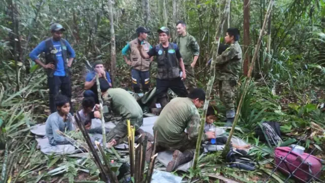 अमेजन जंगल