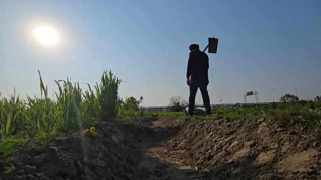 ਐਵਾਕਾਡੋ