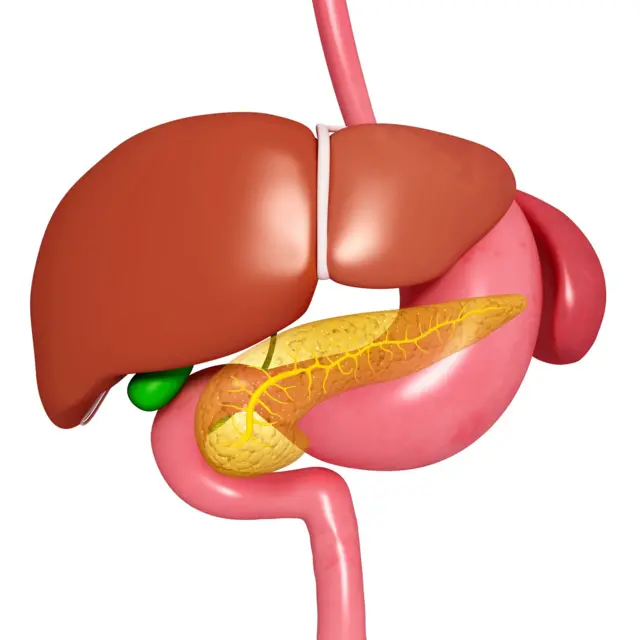 பித்தப்பை புற்றுநோய்
