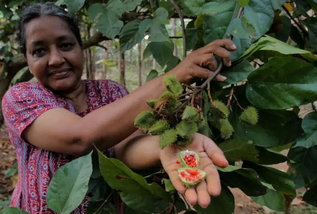 இயற்கை வேளாண்மை