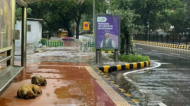 दिल्ली में बस स्टैंड पर सो रहे कुत्ते