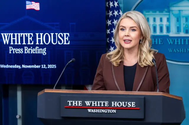  história de Epstein "farsa".