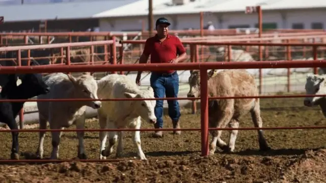 प्रातिनिधिक फोटो