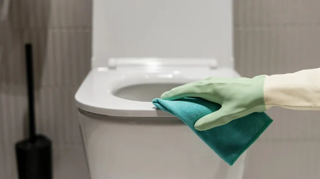 ਟਾਇਲਟ ਸੀਟ