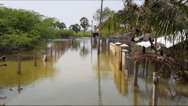 தூத்துக்குடி வடியாத வெள்ள நீர்