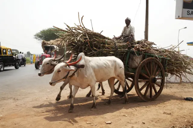 ऊस खाल्ल्याने रक्तातील साखर वाढते का? 
