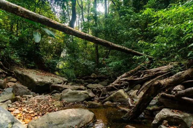 डॉ. माधव गाडगीळः 'विकास लोकांचं मत विचारात न घेता लादला जात आहे'