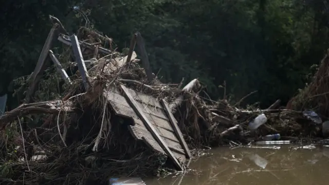 Сел агызып келген бак-дарак жана ар кандай акыр-чикирлер