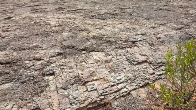 இந்தியாவுடனான அர்ஜெண்டினாவின் ஒப்பந்தம்