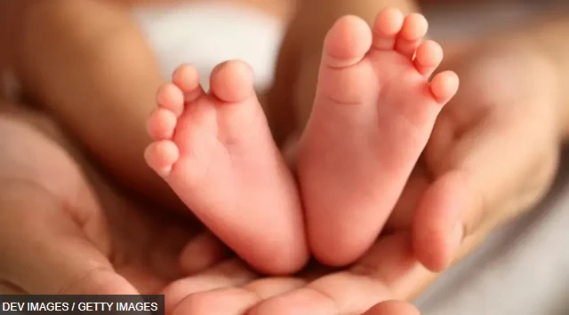 सरोगेसी