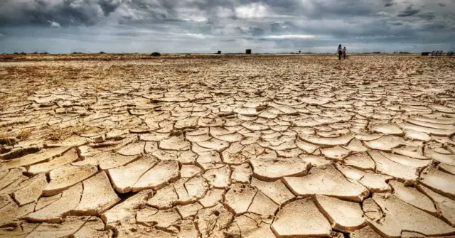 Tierra seca