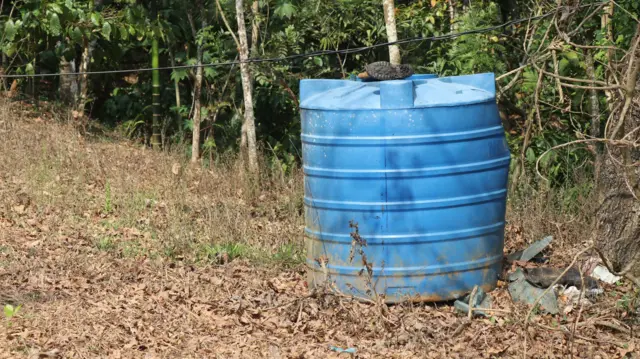 ਪਾਣੀ ਦੀ ਟੈਂਕੀ