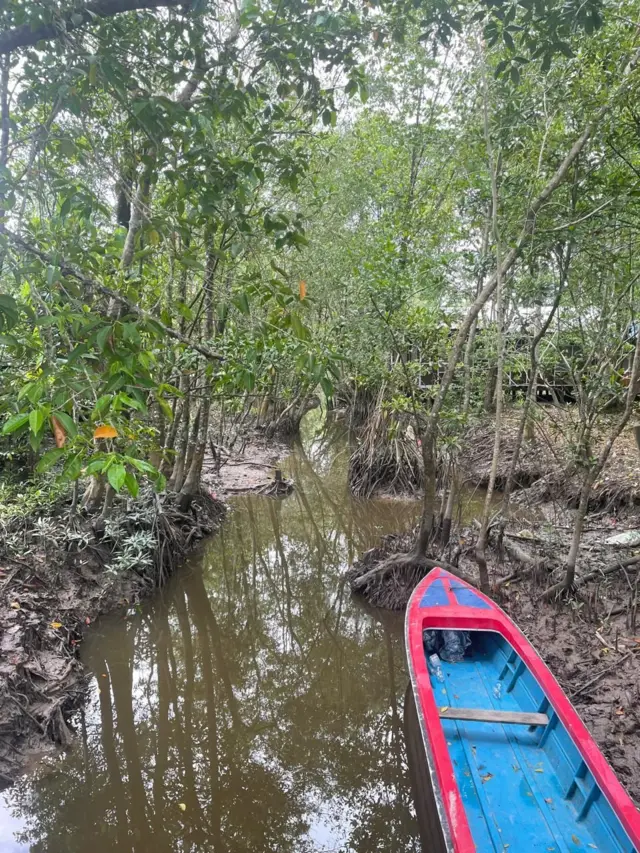 Rawa-rawa, Asmat, Agats, Papua Selatan