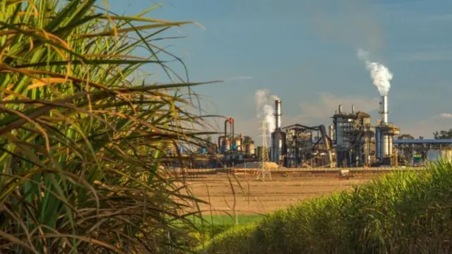 ऊस, इथेनॉल