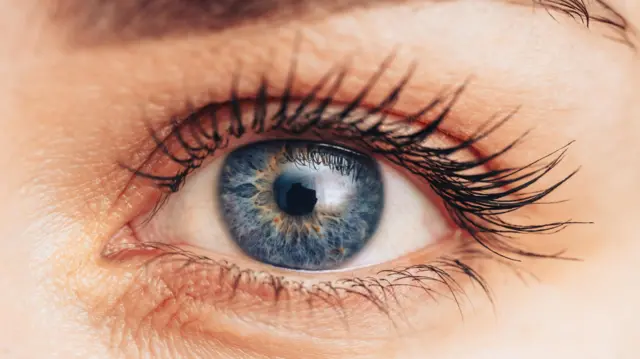 వైద్యం, ఆపరేషన్, బిహార్, సీబీసీటీ, ఆరోగ్యం