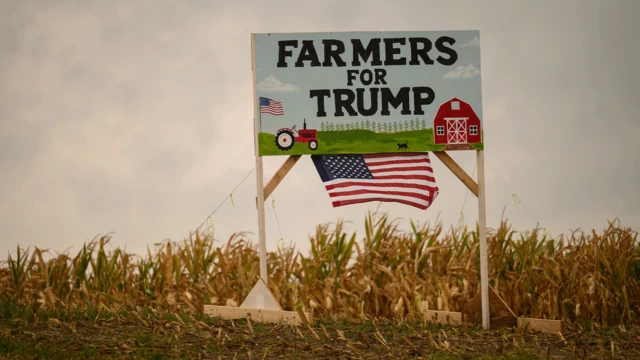 Un cartel que dice "Agricultores por Trump" con una bandera estadounidense en un campo de maíz.