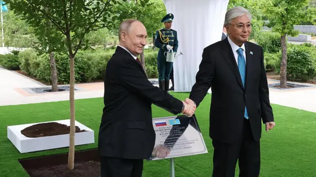 Путин и Токаев жмут друг другу руки на фоне свежепосаженного дерева и сверкающей таблички с флагами двух государств