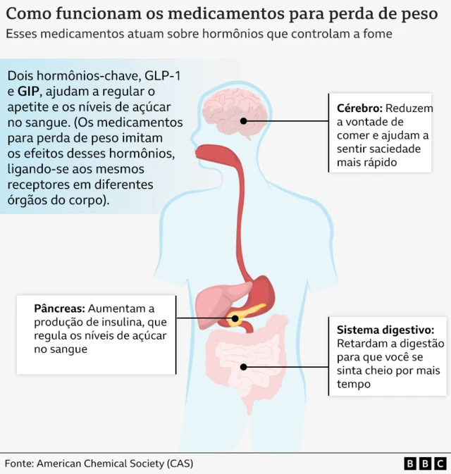  cérebro, pâncreas e sistema digestivo.