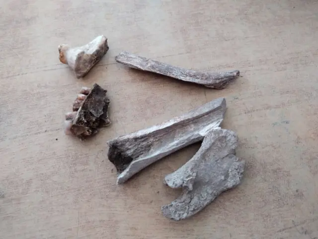 இரண்டாம் கட்ட அகழாய்வுப் பணிகள்