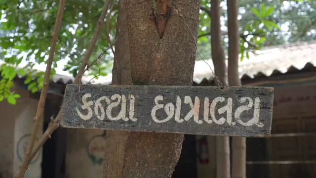 સુરત, બાળકીઓ પર અત્યાચાર, ગુજરાત, બીબીસી ગુજરાતી, ભારતીય જનતા પાર્ટી, કૉંગ્રેસ