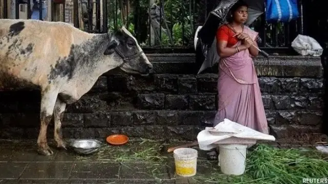 આસામ, ભાજપ, મુસ્લિમ, રાજકારણ, હિમંતા બિસ્વા સરમા, અર્થવ્યવસ્થા, ગૌમાંસ, બીબીસી ગુજરાતી
