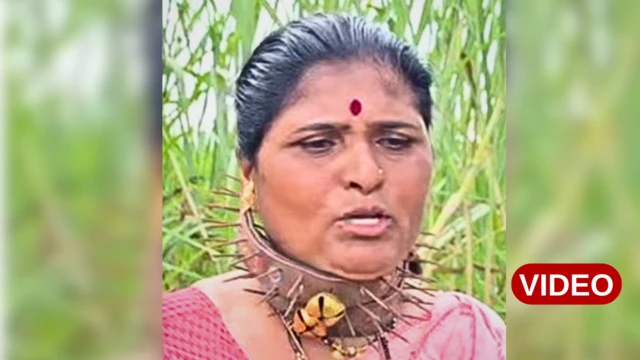 చిరుత పులి భయం, ఇనుప బెల్ట్‌తో అభయం. 