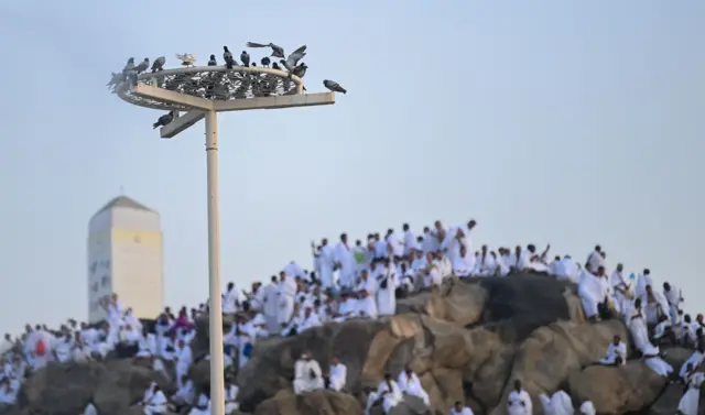 طيور الحمام يتجمعون بالقرب من الحجاج المسلمين الذين يقفون على جبل عرفات أثناء حج 2024، جنوب شرق مكة، المملكة العربية السعودية، 15 يونيو/حزيران 2024.