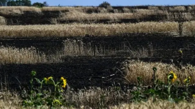 Rusiya, Ukrayna, müharibə, münaqişə