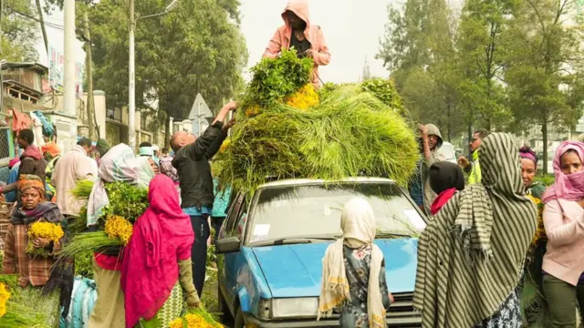 በበርካታ በዓላት በርካቶች ሳር ይጎዘጉዛሉ