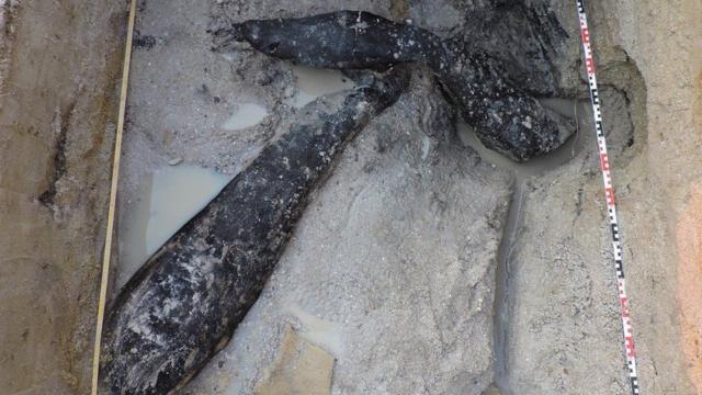 Troncossite bra betmadeira na areia