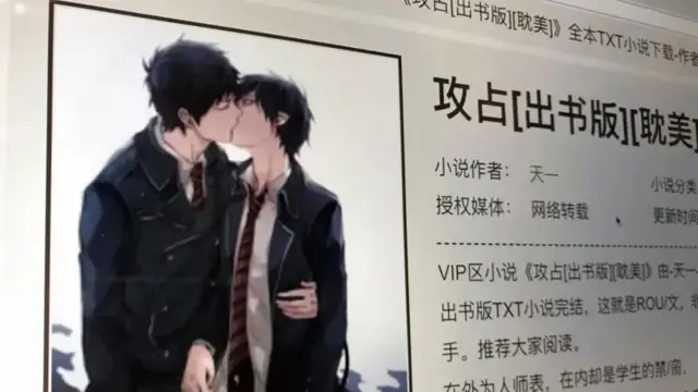 耽美小说网站页面