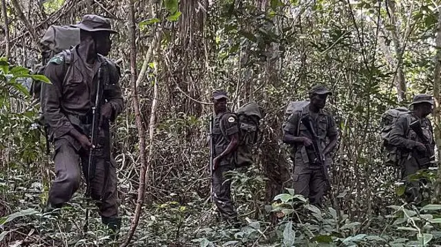 A makon da ya gabata ne gwamnatin Najeriya ta bayar da umurnin ɗaukar jami'an tsaron gandun daji 1,000 domin taimakawa wajen kuɓuto da malamai da ɗaliban da aka sace a jihar Oyo da ke kudu maso yammacin ƙasar.