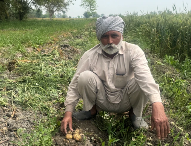 ਆਲੂਆਂ 'ਤੇ ਐਮਐਸਪੀ ਦੀ ਕਿਸਾਨਾਂ ਵੱਲੋਂ ਮੰਗ