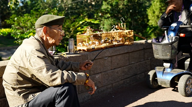 An elderly trader is sitting by a low wall, smoking a pipe and selling small birds in round cages. On the other side of the cages is another elderly man on an electronic scooter.
