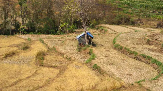 වියළි ගිය කුඹුරක ඡායාරූපයකි