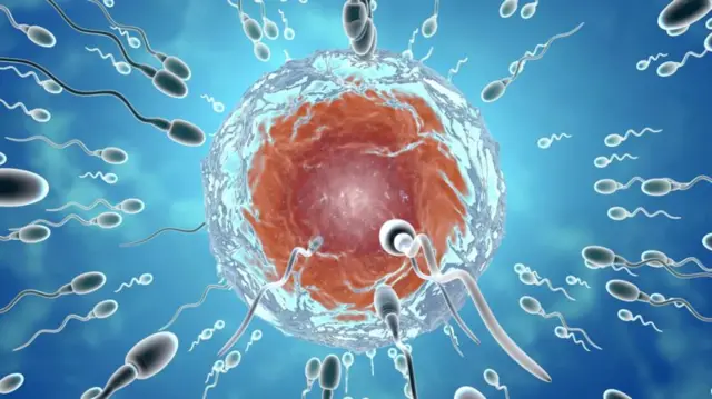 વીર્ય કોરોના