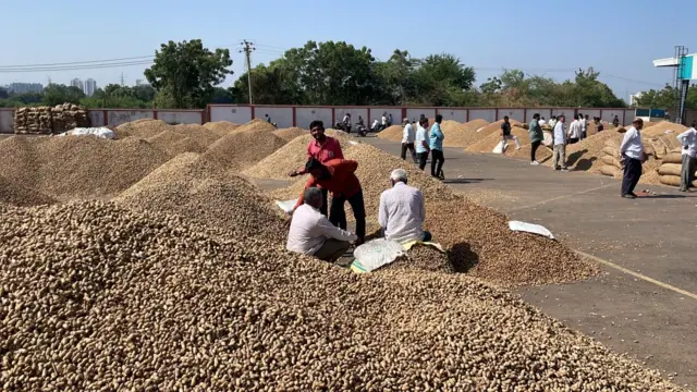 રાજકોટ એપીએમસી યાર્ડમાં પોતાની મગફળી વેચવા આવેલ ખેડૂતોની તસ્વીર, ગુજરાત, કમોસમી વરસાદ, બીબીસી ગુજરાતી