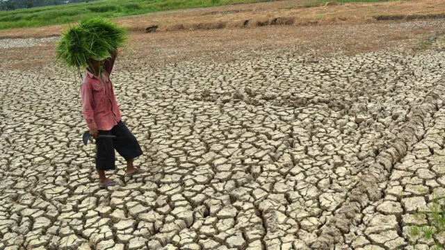 가뭄으로 말라버린 땅