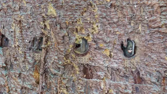 Иллюминаторнинг ойнаси