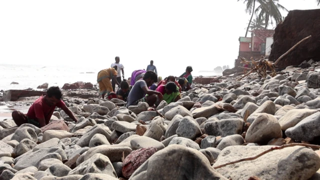 બીબીસી ગુજરાતી વાવાઝોડું સોનું