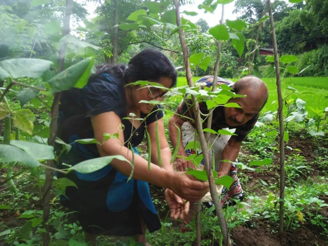 Anoma Kumari Paranathala dey follow her husband pick beans 