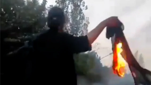 نیکا شاه‌کرمی