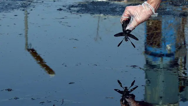 Ogige mmiri mmanụ agbidi mebiri