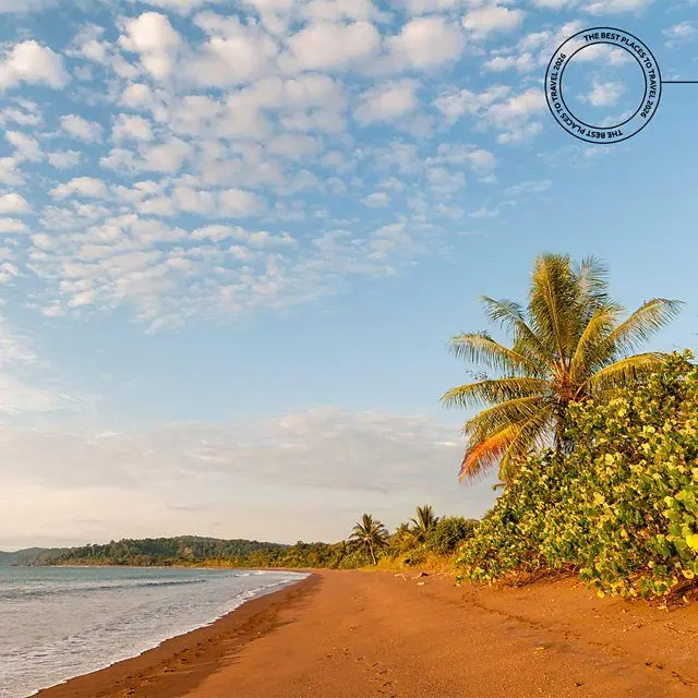 Praia deserta com palmeiras na Costa Rica