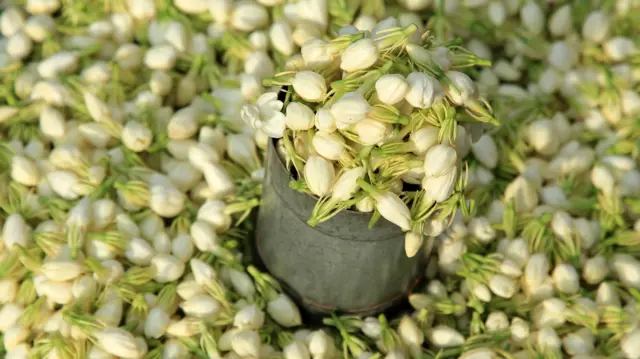 தமிழ்நாடு, புவிசார் குறியீடு